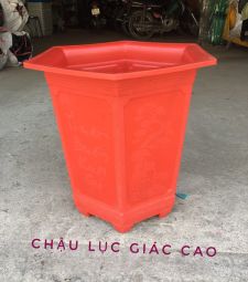 Chậu lục giác cao