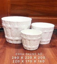 Chậu thùng gỗ