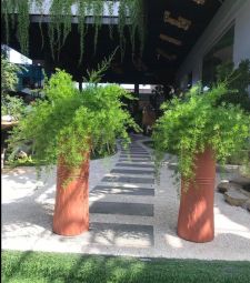 chậu trụ cao họa tiết