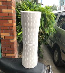 Chậu sóng dọc