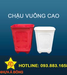 Chậu vuông cao