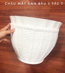 Chậu mây đan bầu tại HCM