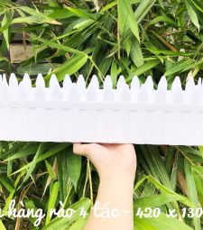 Chậu hàng rào tre Á Đông