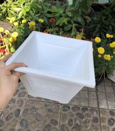 Chậu vuông thấp