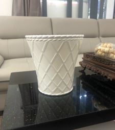 chậu caro