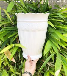 Chậu trái bom hoa văn