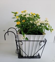 Giỏ sắt treo chậu cây ban công 