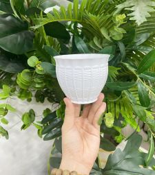 Chậu nhựa sen đá hình bầu
