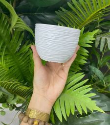 Chậu nhựa sen đá đế tròn
