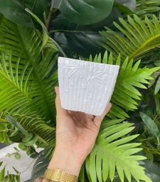 Chậu nhựa sen đá hình vuông
