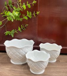 Chậu nhựa sen đá cao cấp tại Bình Tân