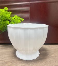 Chậu lồng đèn 2 tấc 8