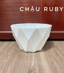 Chậu Ruby nhiều kích thước
