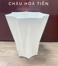 Chậu Hỏa Tiễn