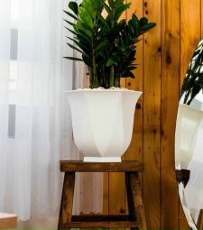 Chậu hoa nhựa bát giác giá rẻ tại Bình Tân