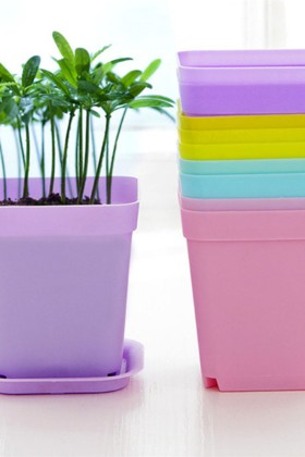 Chậu nhựa vuông là gì? Vì sao nên chọn mua chậu trồng cây bằng nhựa?