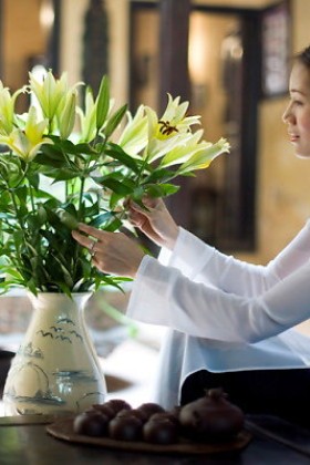 Mẫu chậu nhựa dùng để trang trí