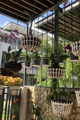 Cách chọn chậu hoa nhựa đẹp