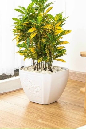 Chậu nhựa cao cấp giá sỉ tại Hồ Chí Minh