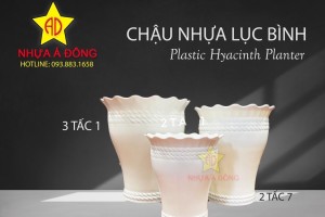 Tư vấn chọn chậu nhựa trồng cây đẹp, phù hợp với không gian gia đình