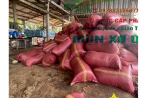 Mụn xơ dừa Á Đông - Giá thể sạch cho mọi cây trồng
