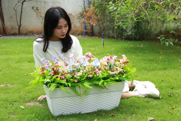 Tại sao nên dùng chậu nhựa giá rẻ?