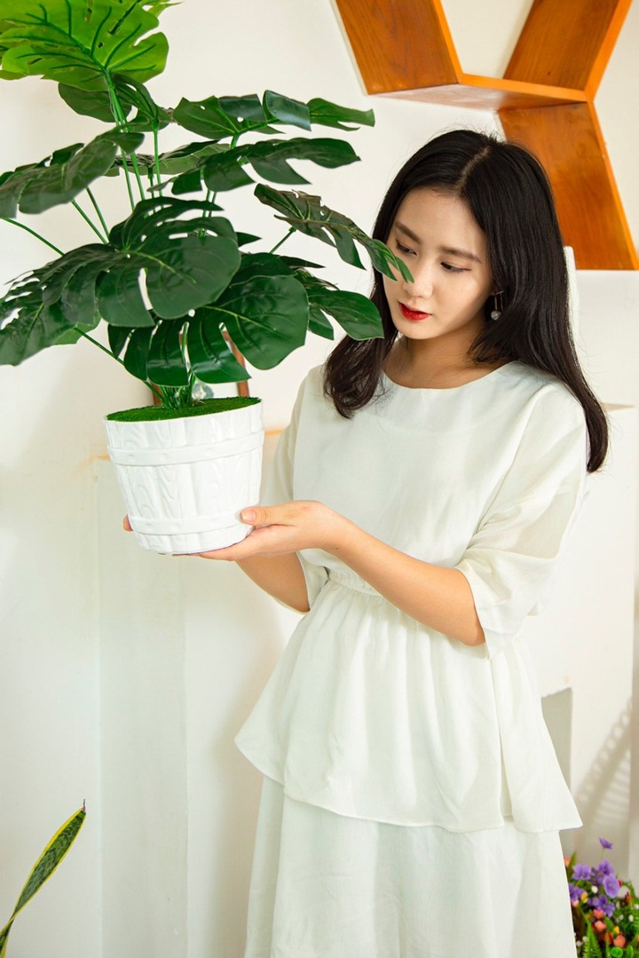 Chậu nhựa tròn trồng cây