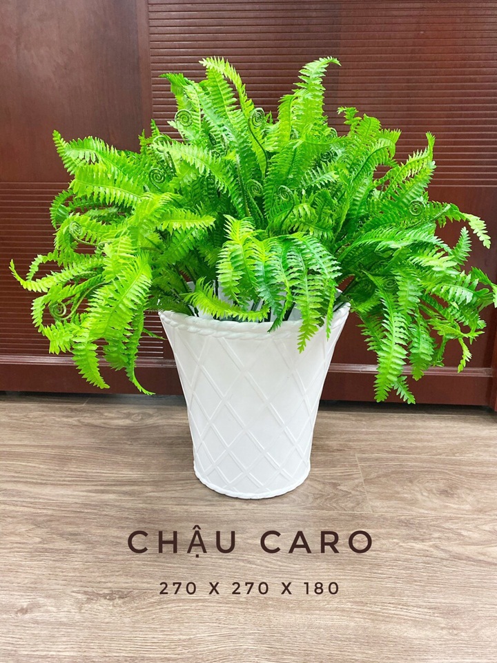 Lên ngôi xu hướng sử dụng chậu nhựa trồng cây