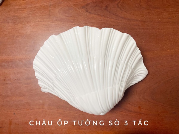 Vì sao nên chọn chậu nhựa trồng cây giá sỉ tại Nhựa Á Đông?