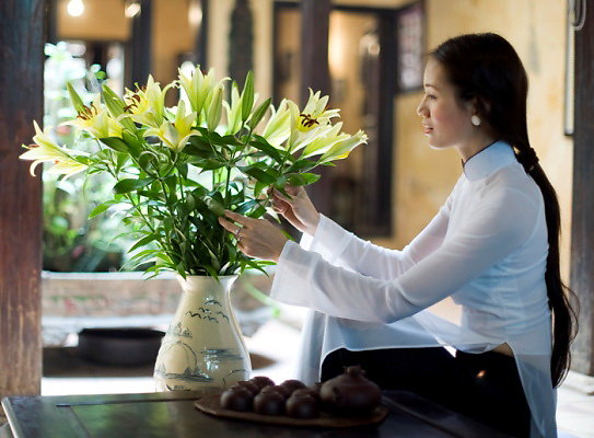 Mẫu chậu nhựa dùng để trang trí
