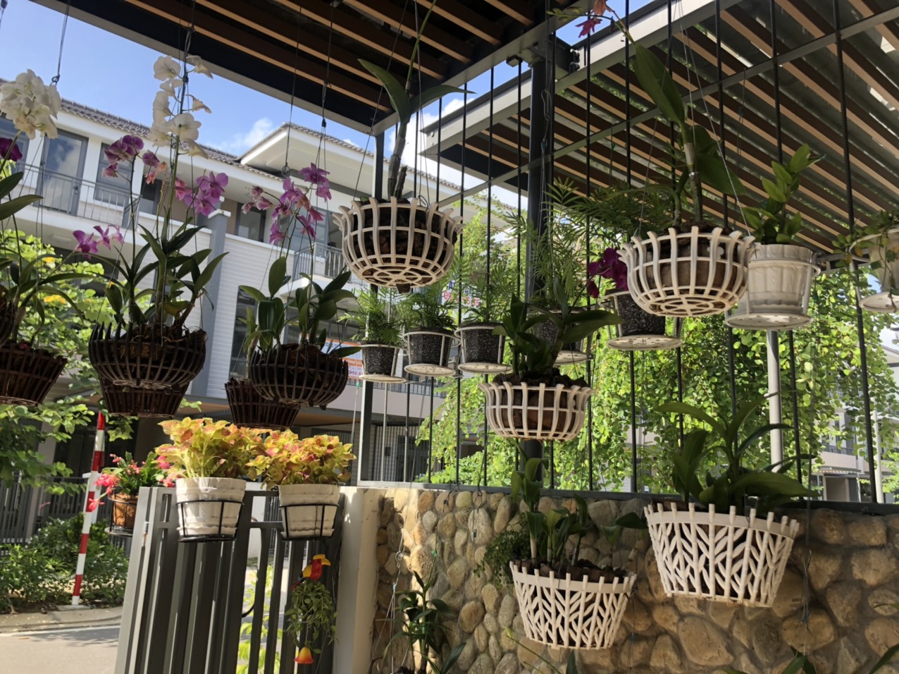 Cách chọn chậu hoa nhựa đẹp