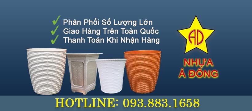 TÌM KIẾM NHÀ PHÂN PHỐI CỘNG TÁC VIÊN CHẬU NHỰA + CHẬU TREO XƠ DỪA 