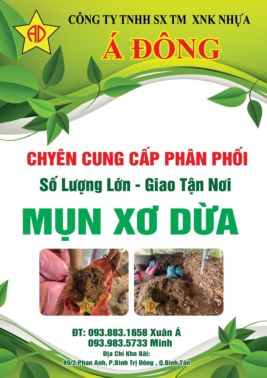LỢI ÍCH CỦA VIỆC TRỒNG CÂY BẰNG MỤN XƠ DỪA