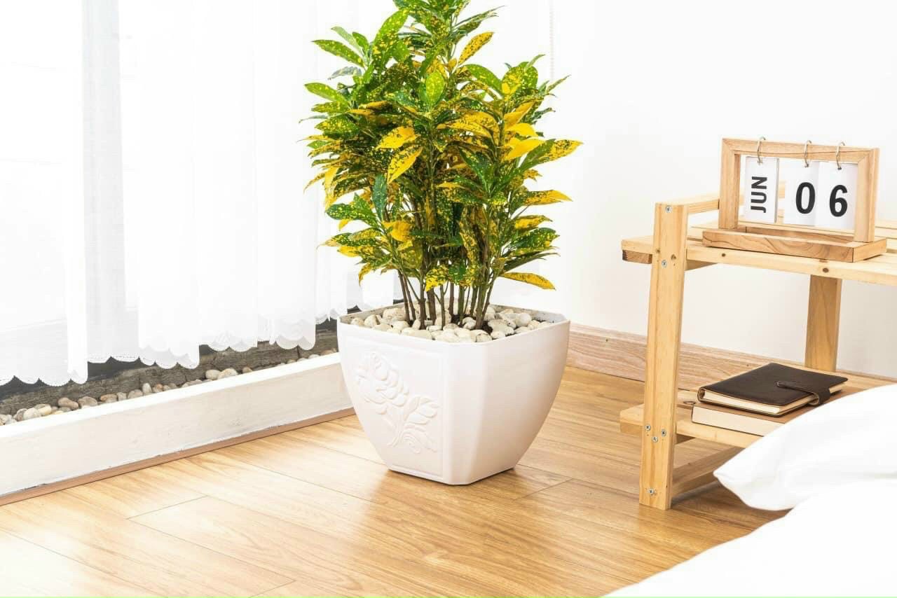 Chậu nhựa cao cấp giá sỉ tại Hồ Chí Minh