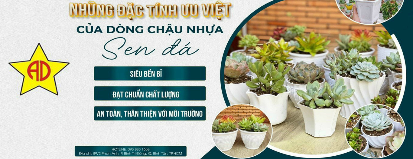 CHẬU NHỰA SEN ĐÁ