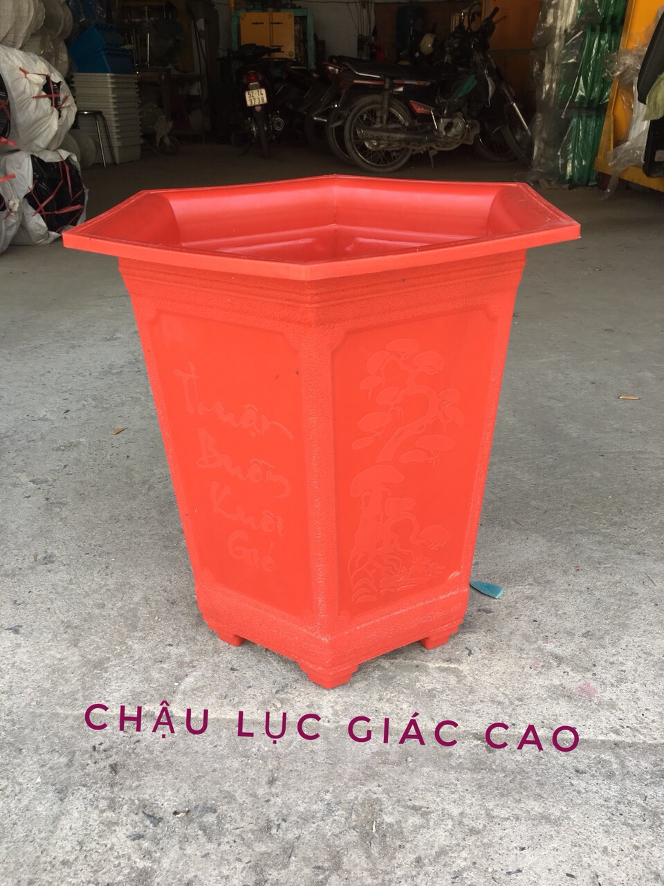 Chậu lục giác cao