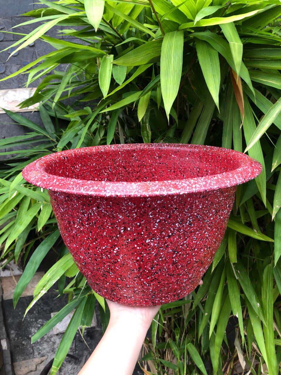 Chậu giả đá